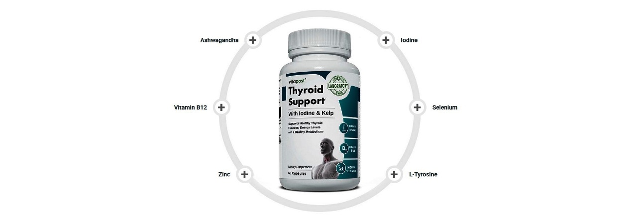Thyroid Support Ingredients Featured 1280